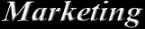 marketing Page