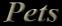 Love your Pets